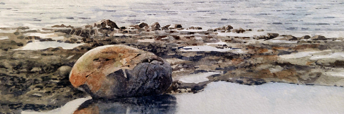 Côte nord